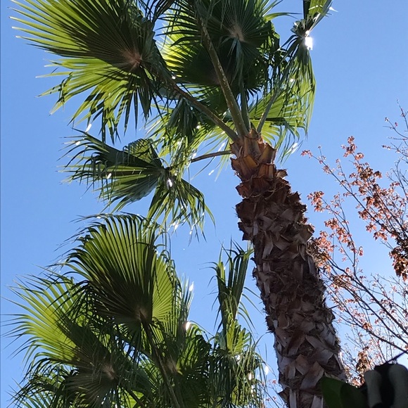 Welcome! Please check out my closet. Thank you๐ - Picture 8 of 10